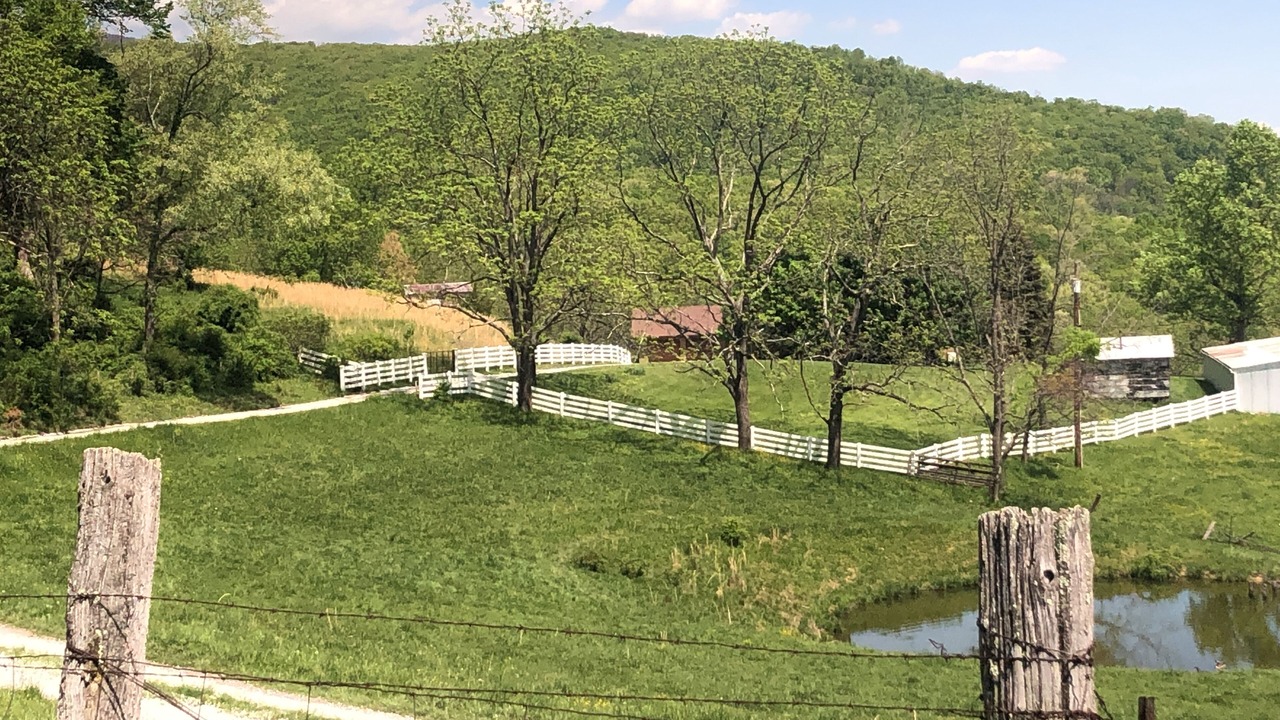 Photo of Others in Maysville