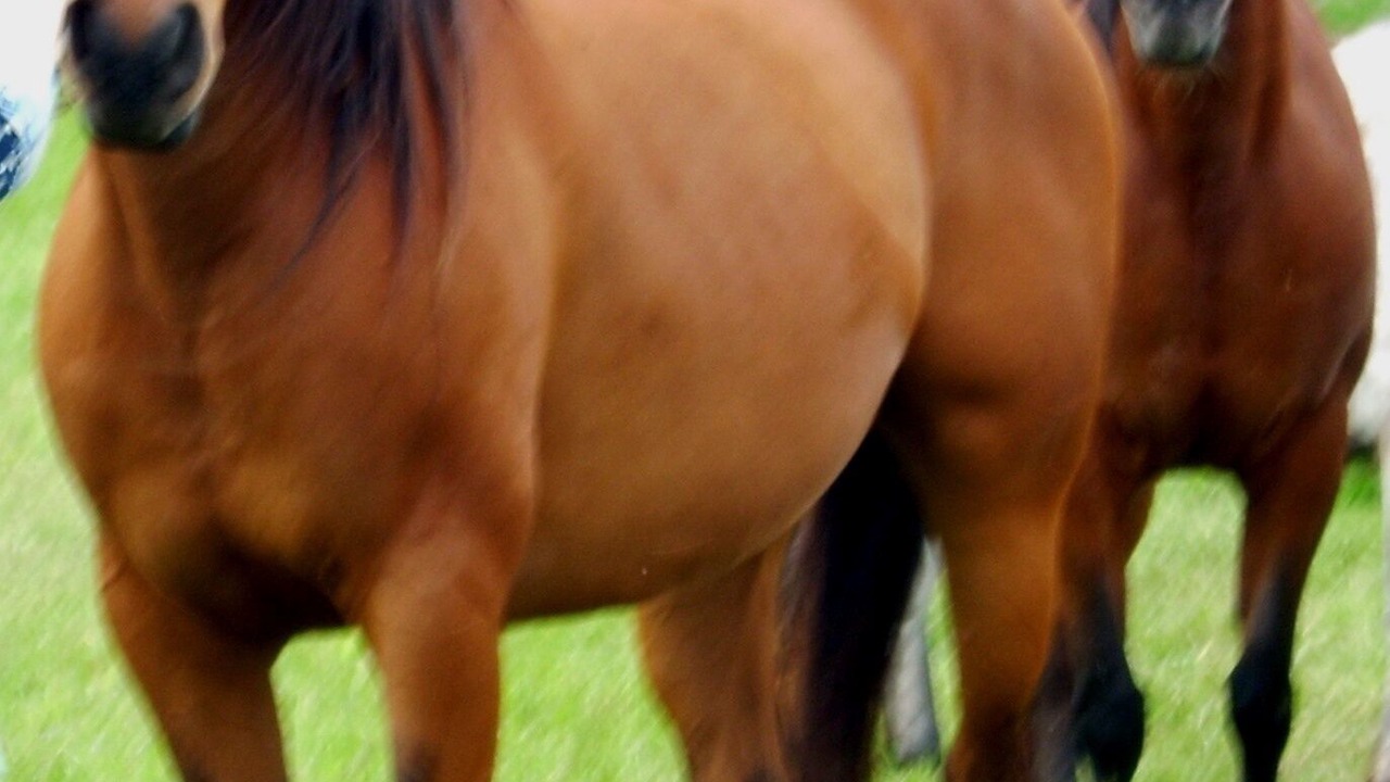 Photo of Others in Mount Vernon