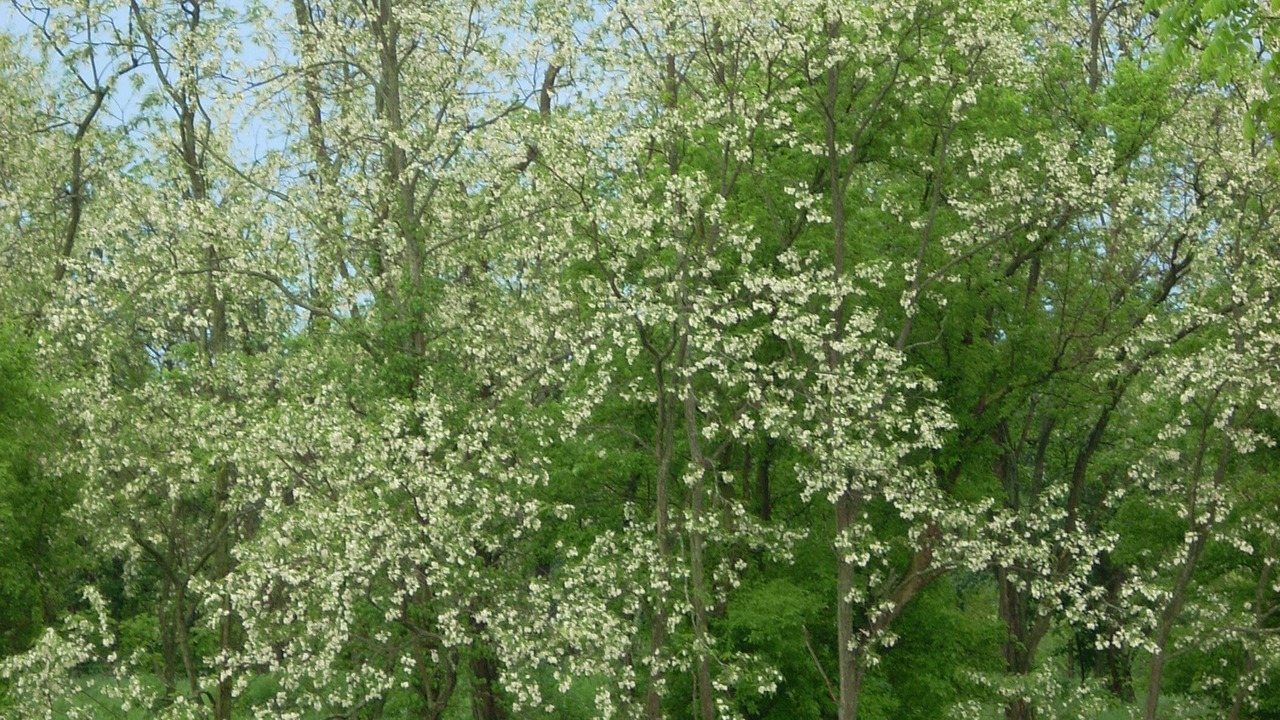 Photo of Outdoor in Mount Vernon