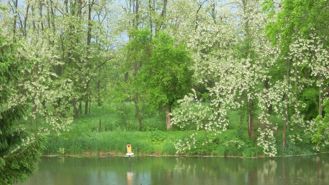 Photo of Outdoor in Mount Vernon