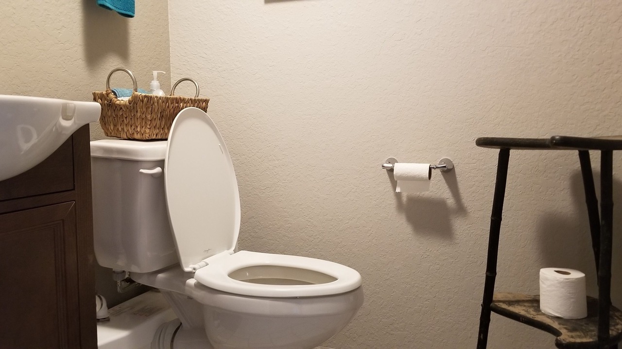 Photo of Bathroom in Delton