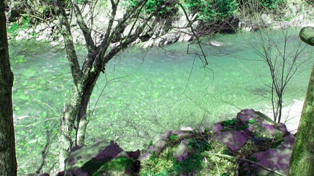 Photo of Outdoor in Williamsville