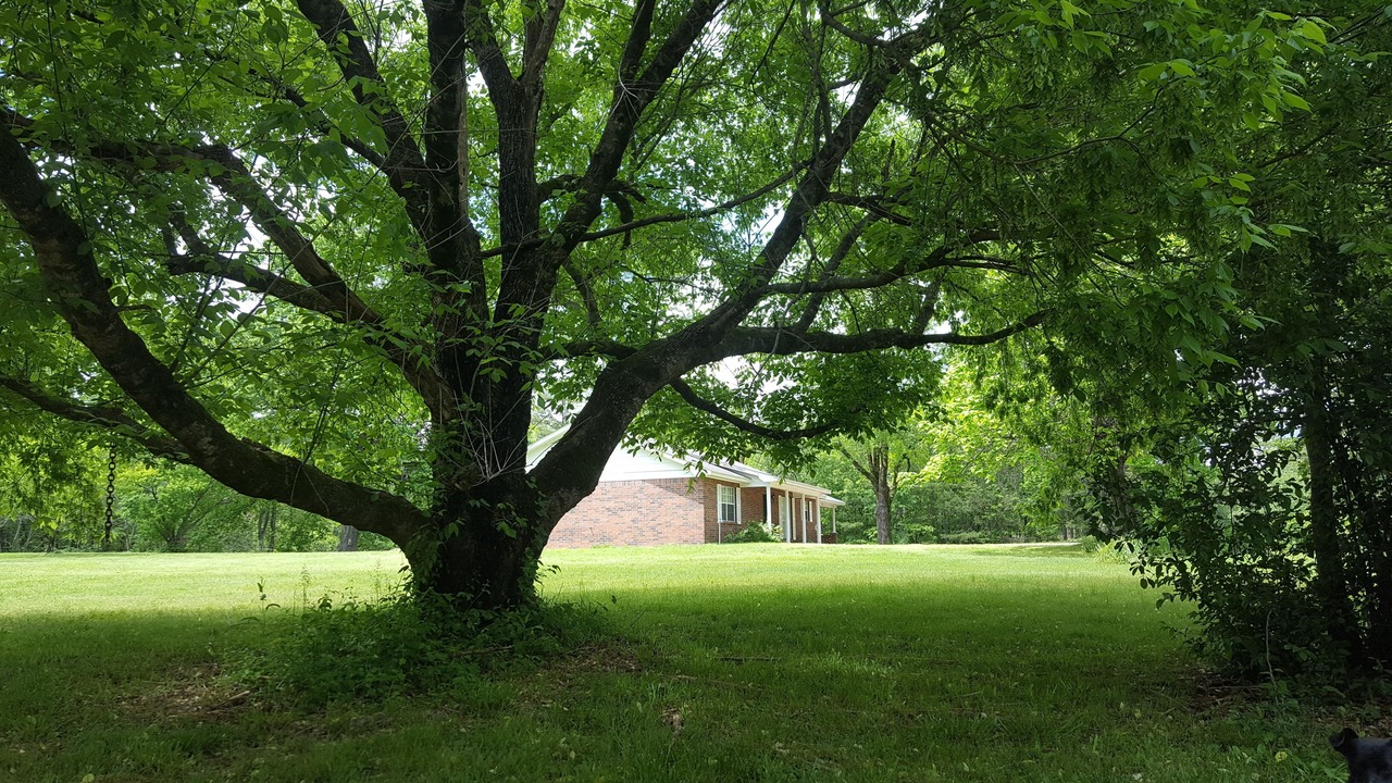 Photo of Outdoor in Story