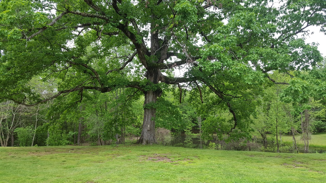 Photo of Outdoor in Story