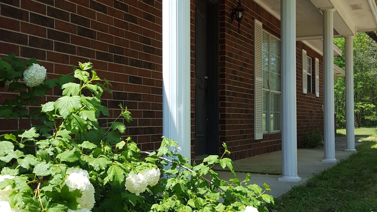 Photo of Outdoor in Story