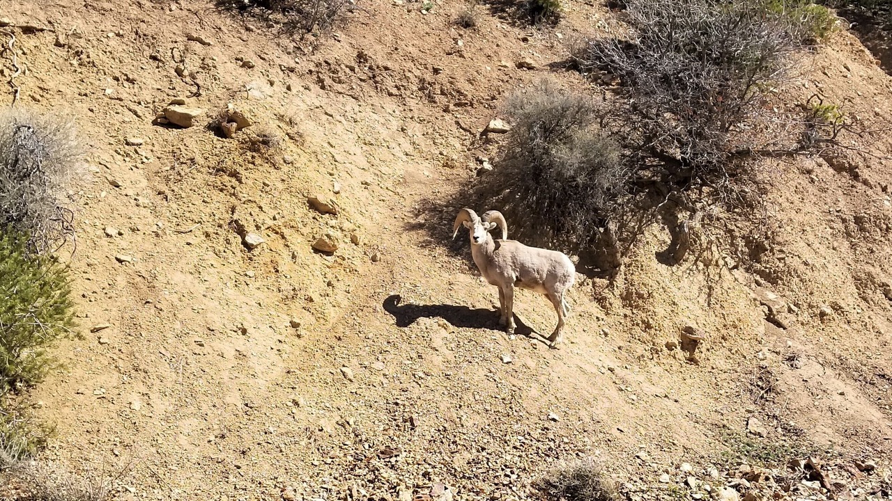Photo of Others in Taos