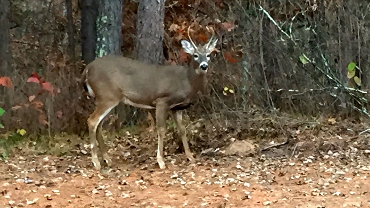 Photo of Others in Solon Springs