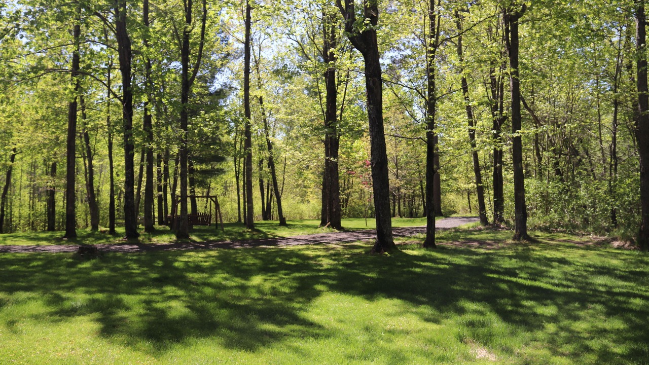 Photo of Outdoor in Solon Springs