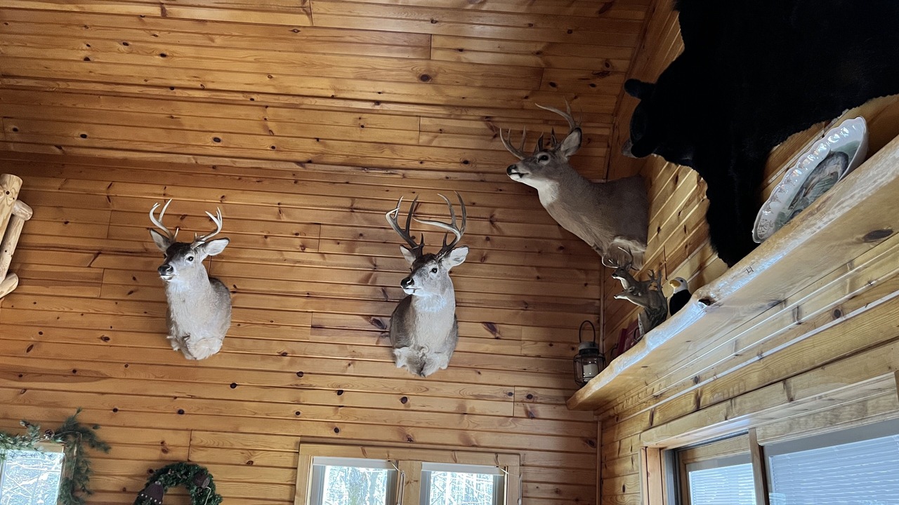Photo of Others in Solon Springs