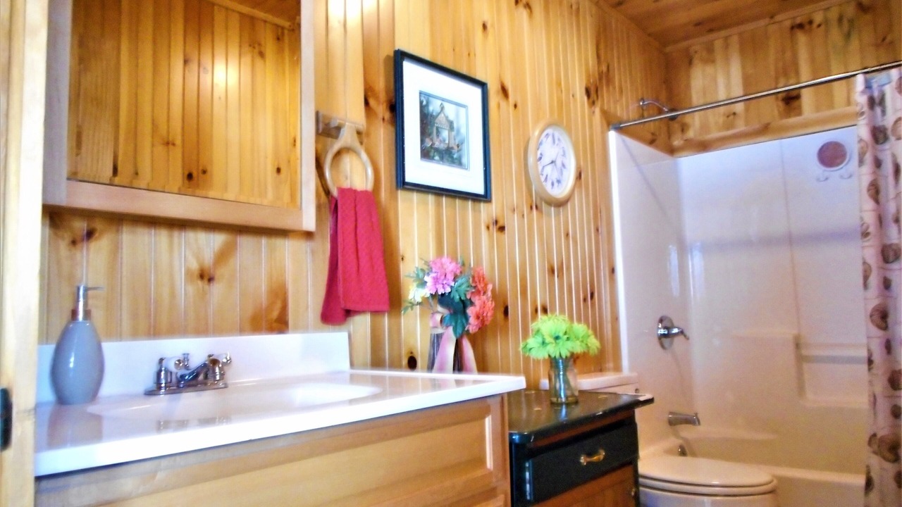 Photo of Bathroom in North Hero