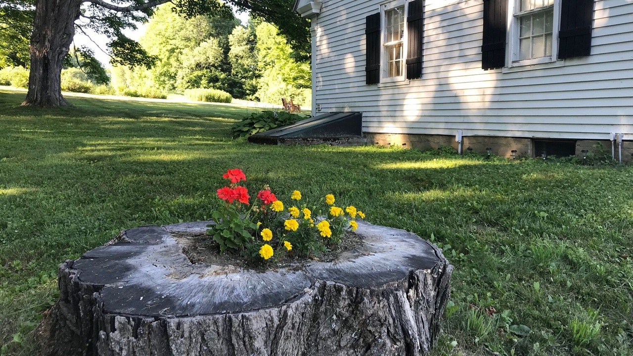 Photo of Others in Lyndonville