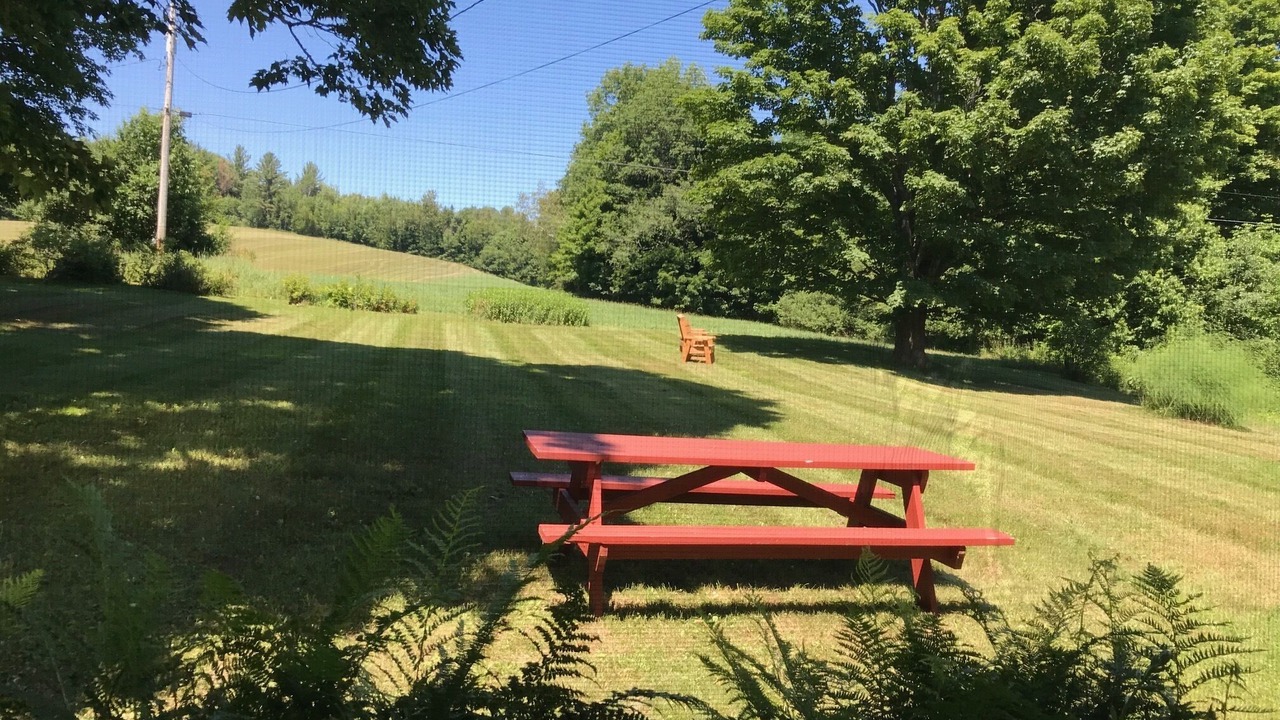 Photo of Others in Lyndonville