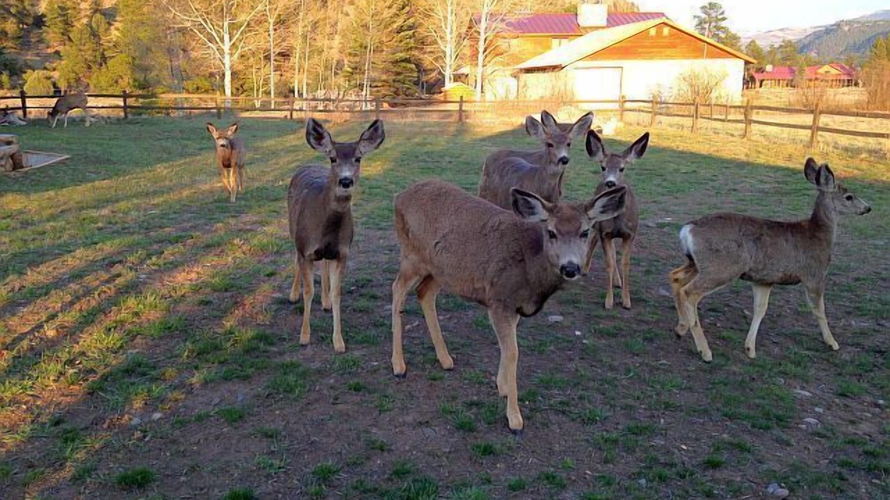 Photo of Others in Rio Vista Estates