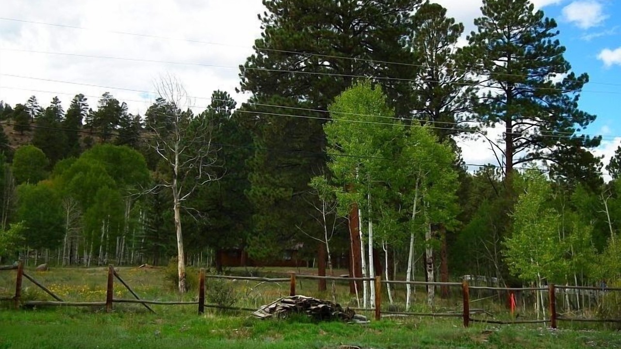 Photo of Others in Ponderosa Pines