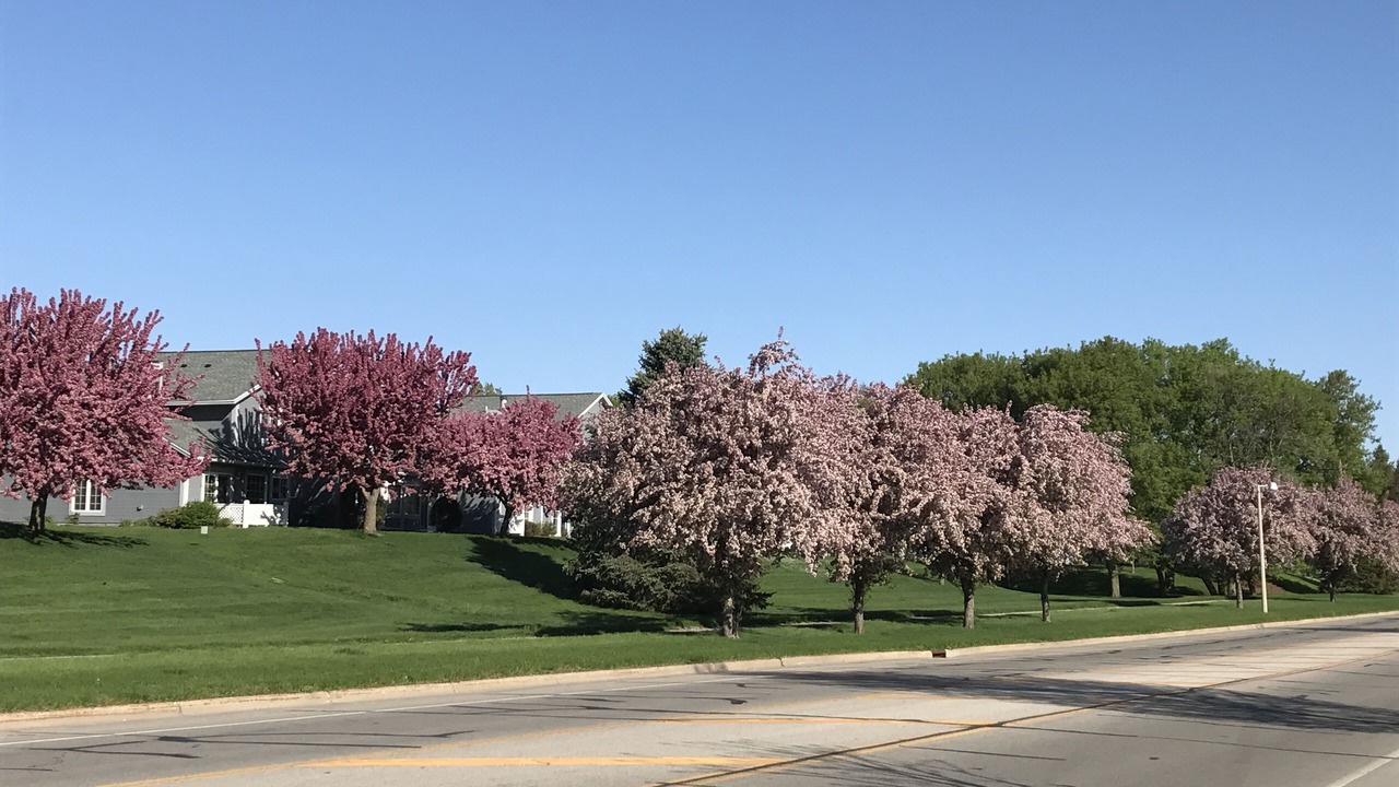 Photo of Others in Northrup