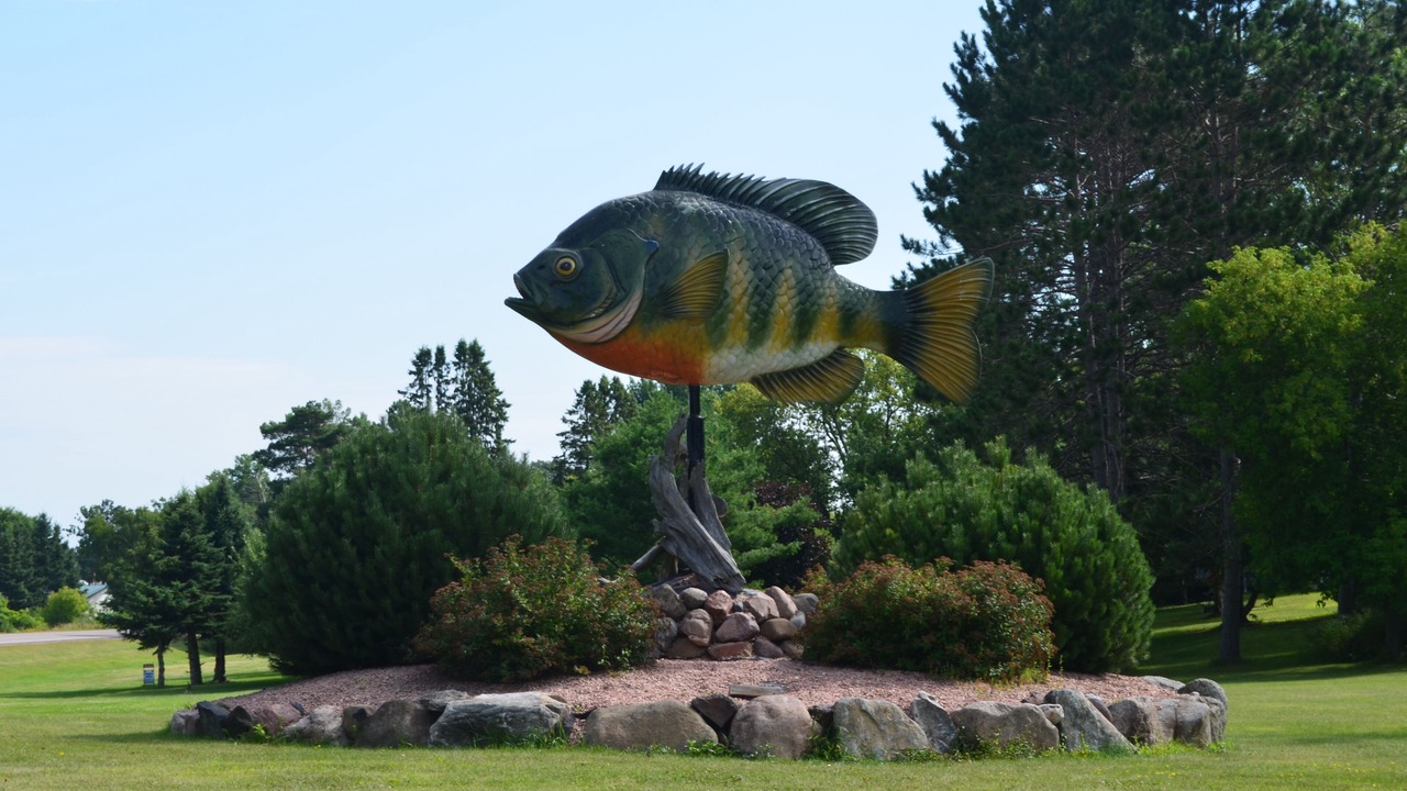 Photo of Others in Birchwood