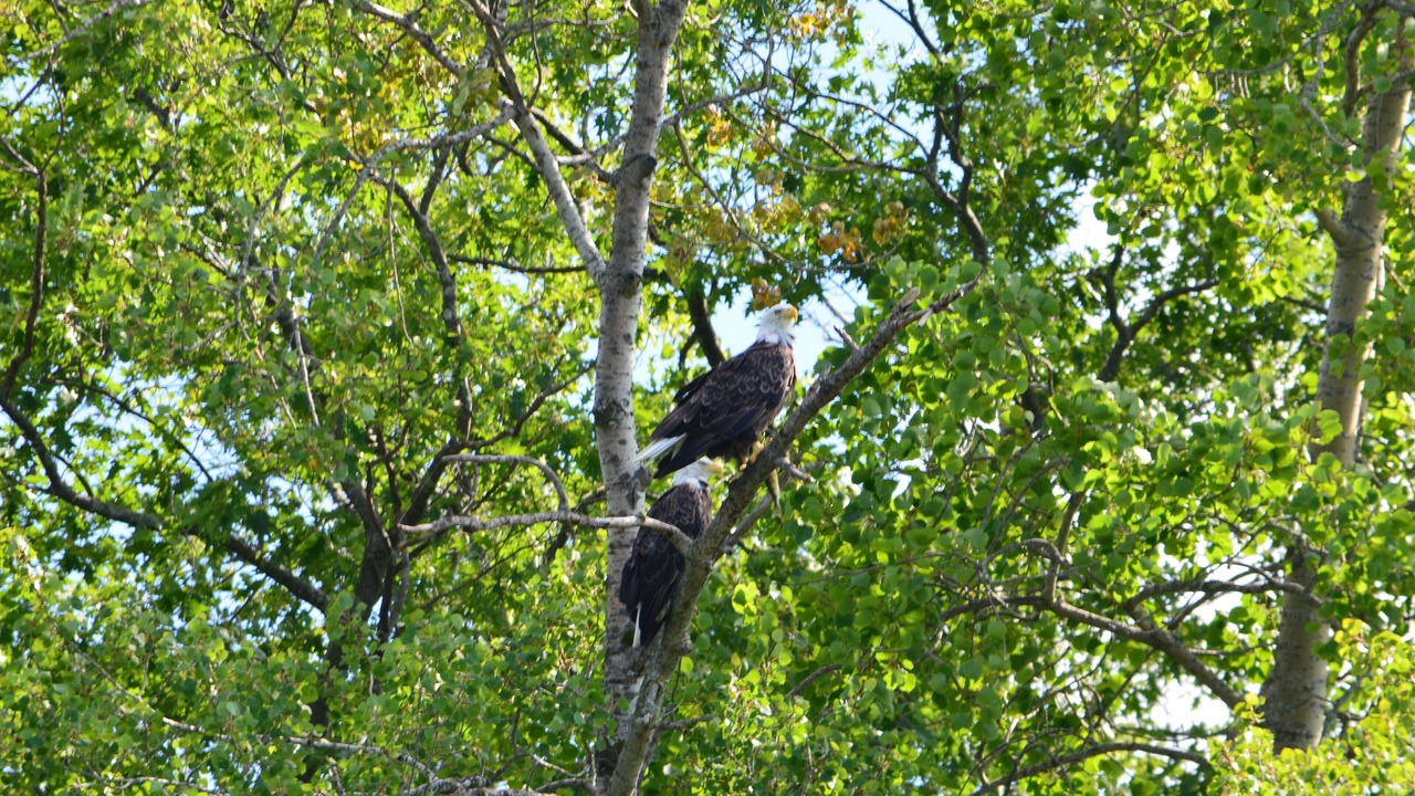 Photo of Others in Birchwood