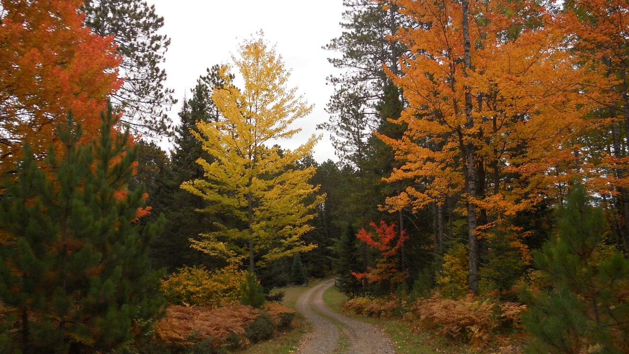 Photo of Outdoor in Watersmeet