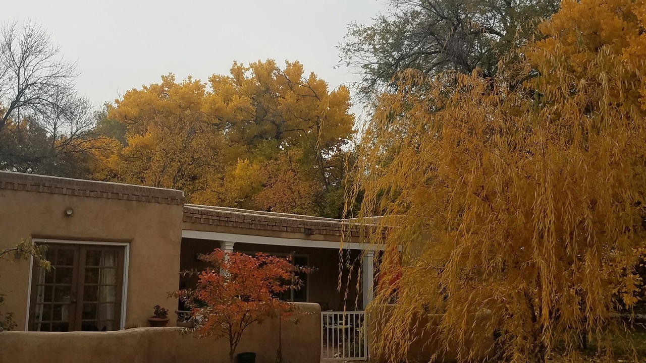 Photo of Others in Near North Valley
