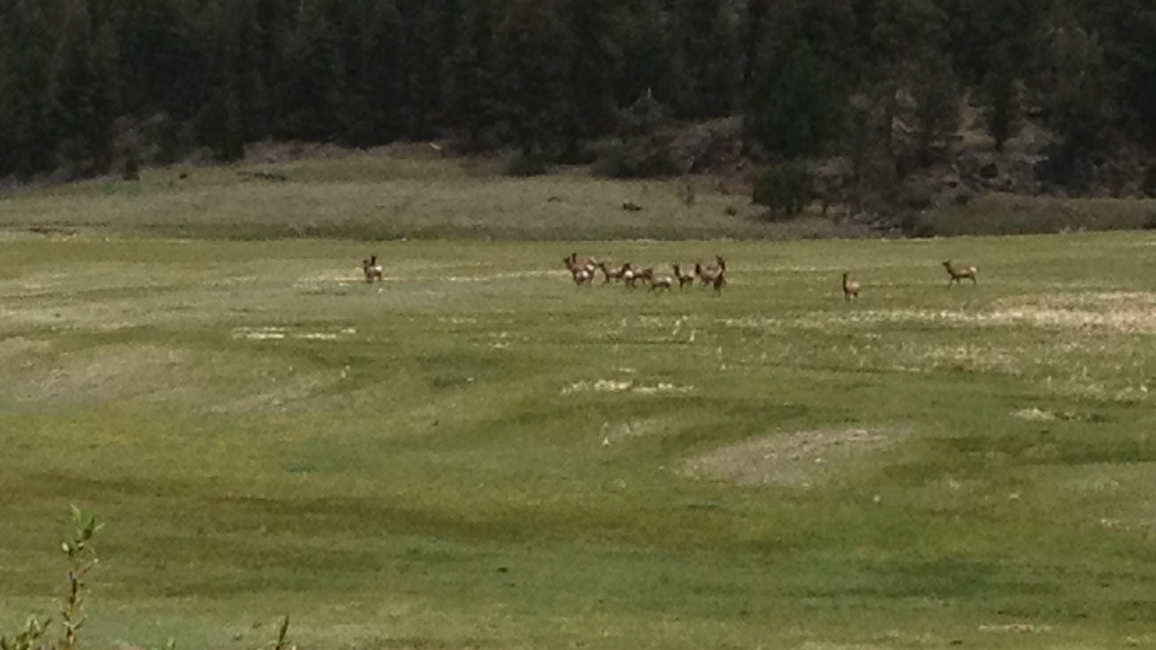 Photo of Others in Angel Fire