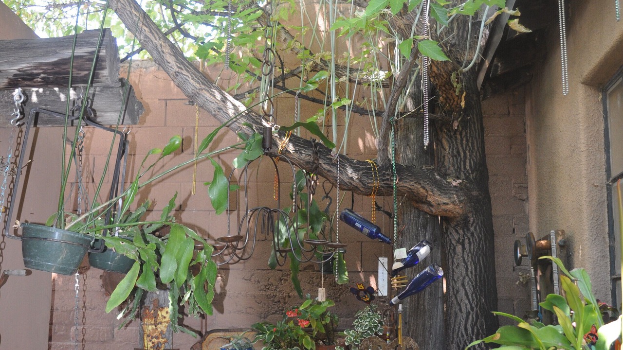 Photo of Outdoor in Taos