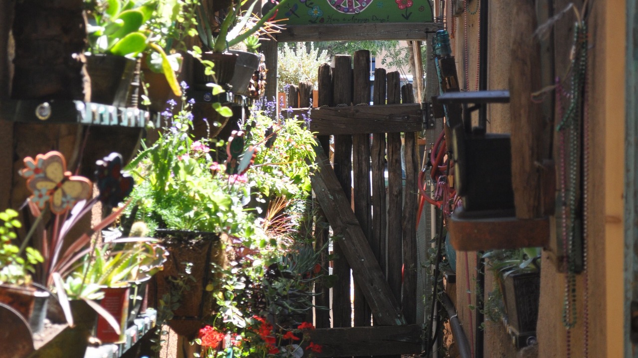 Photo of Others in Taos