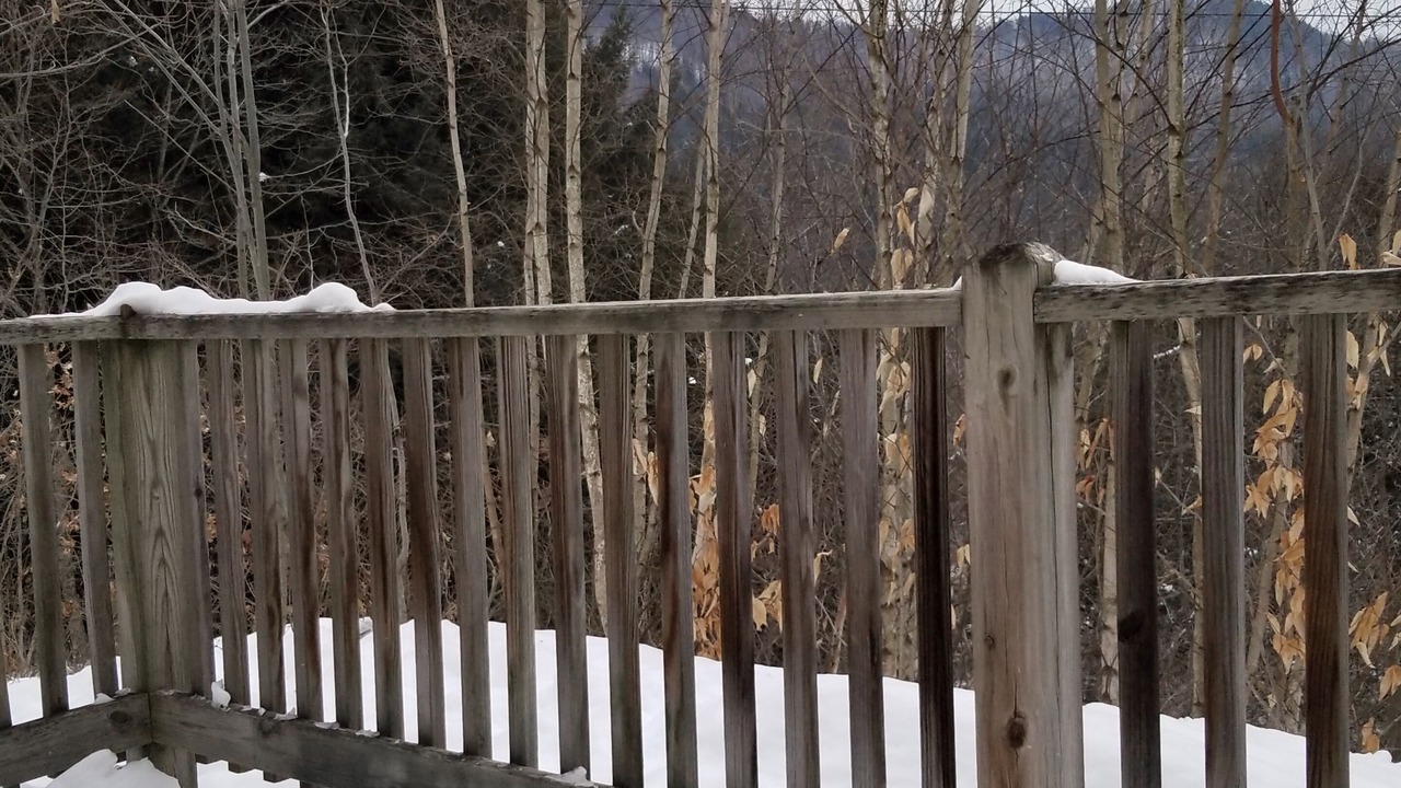 Photo of Outdoor in Stockbridge