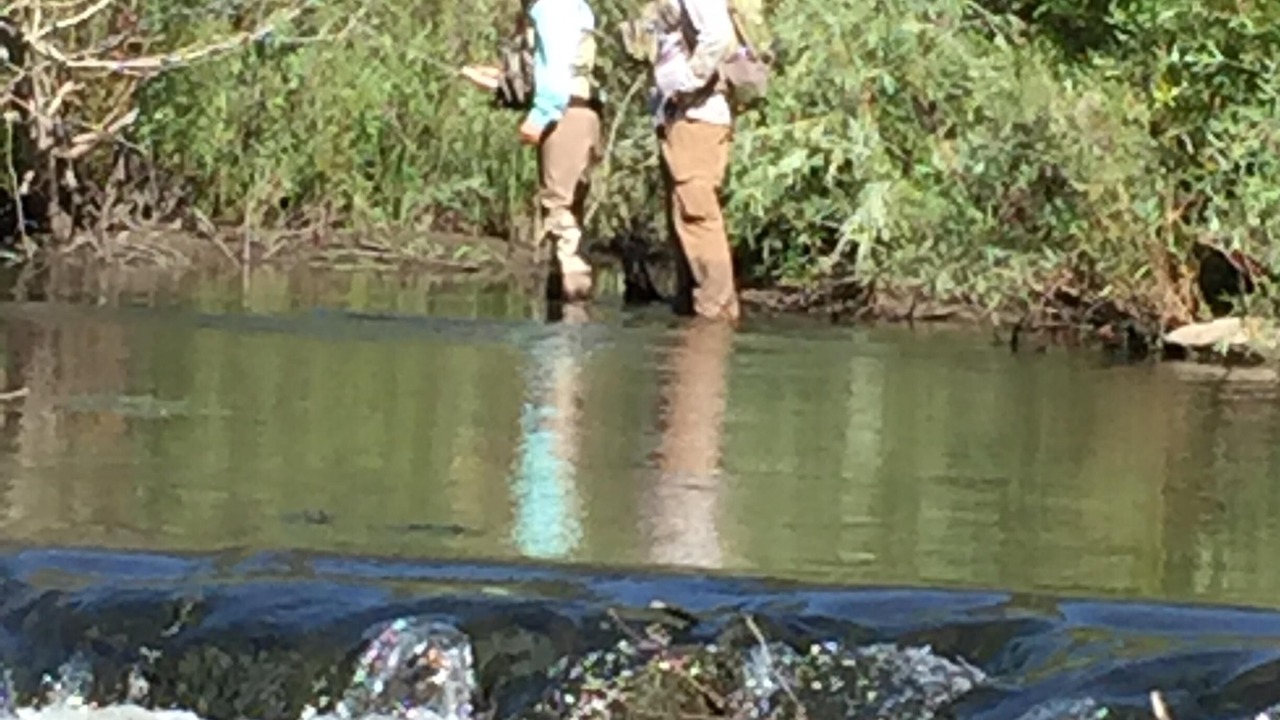 Photo of Others in Angel Fire