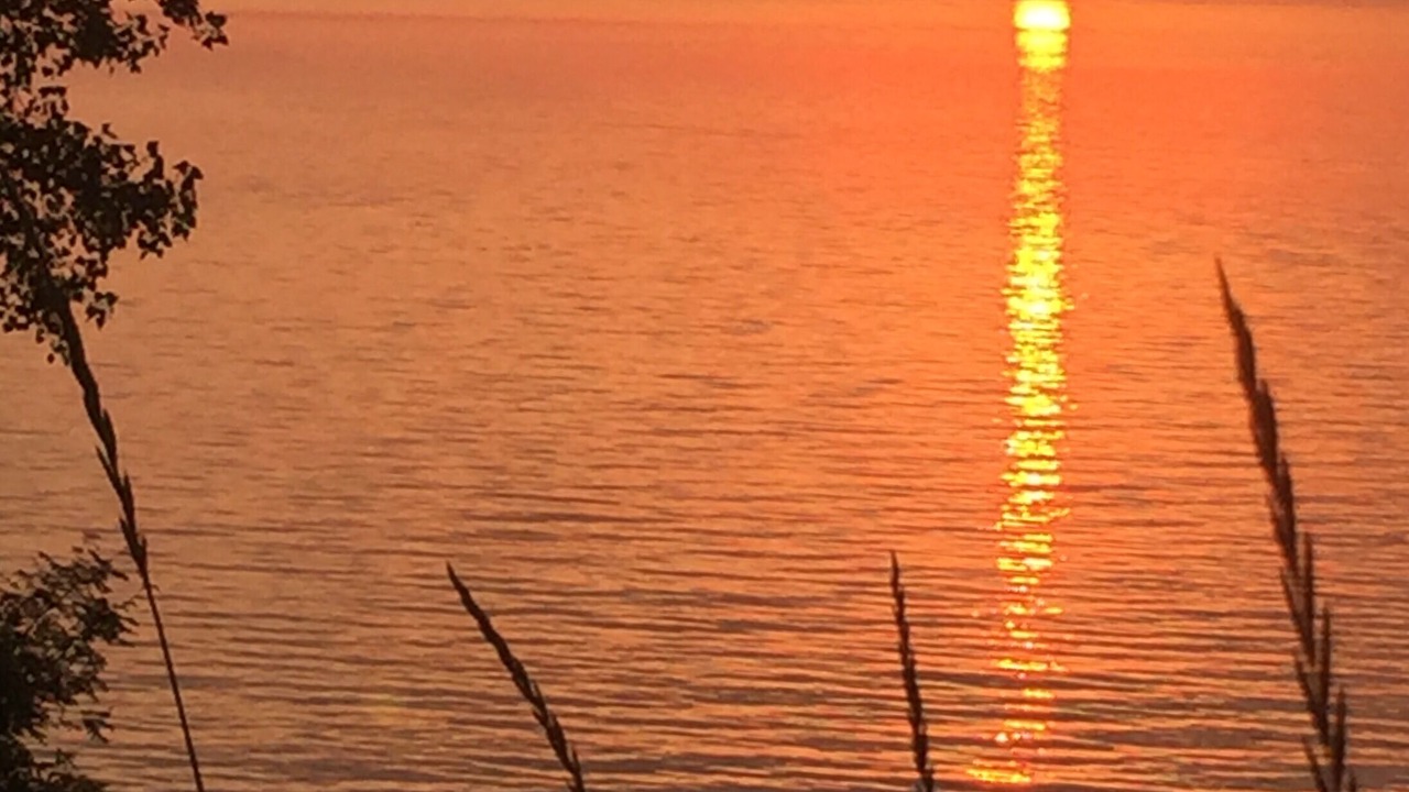 Photo of Others in Sheboygan