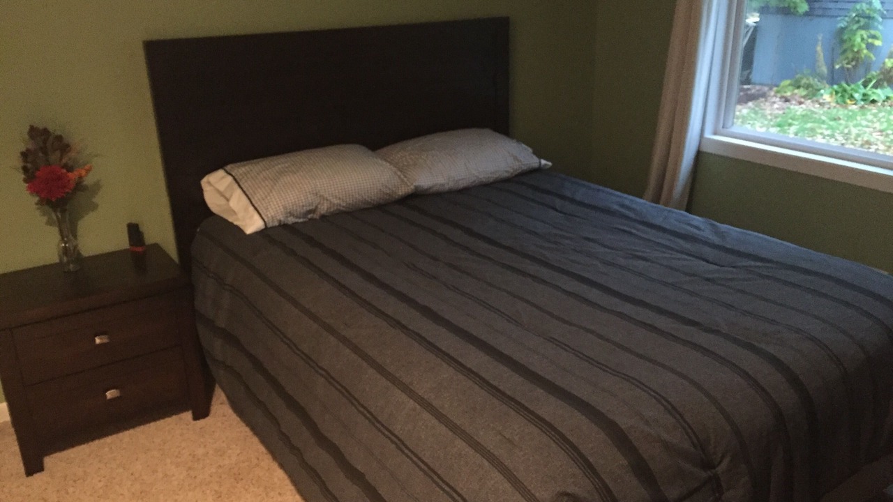 Photo of Bedroom in Black Wolf