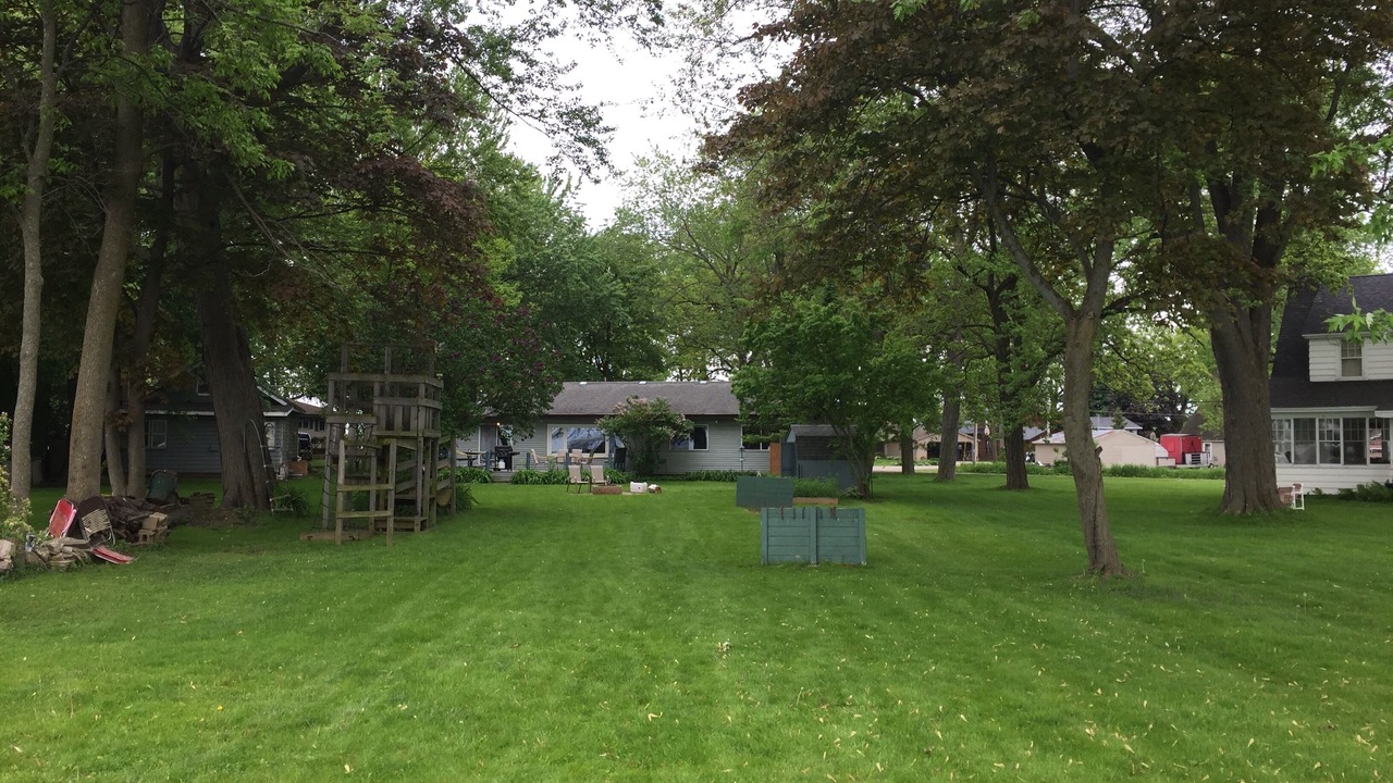 Photo of Outdoor in Black Wolf