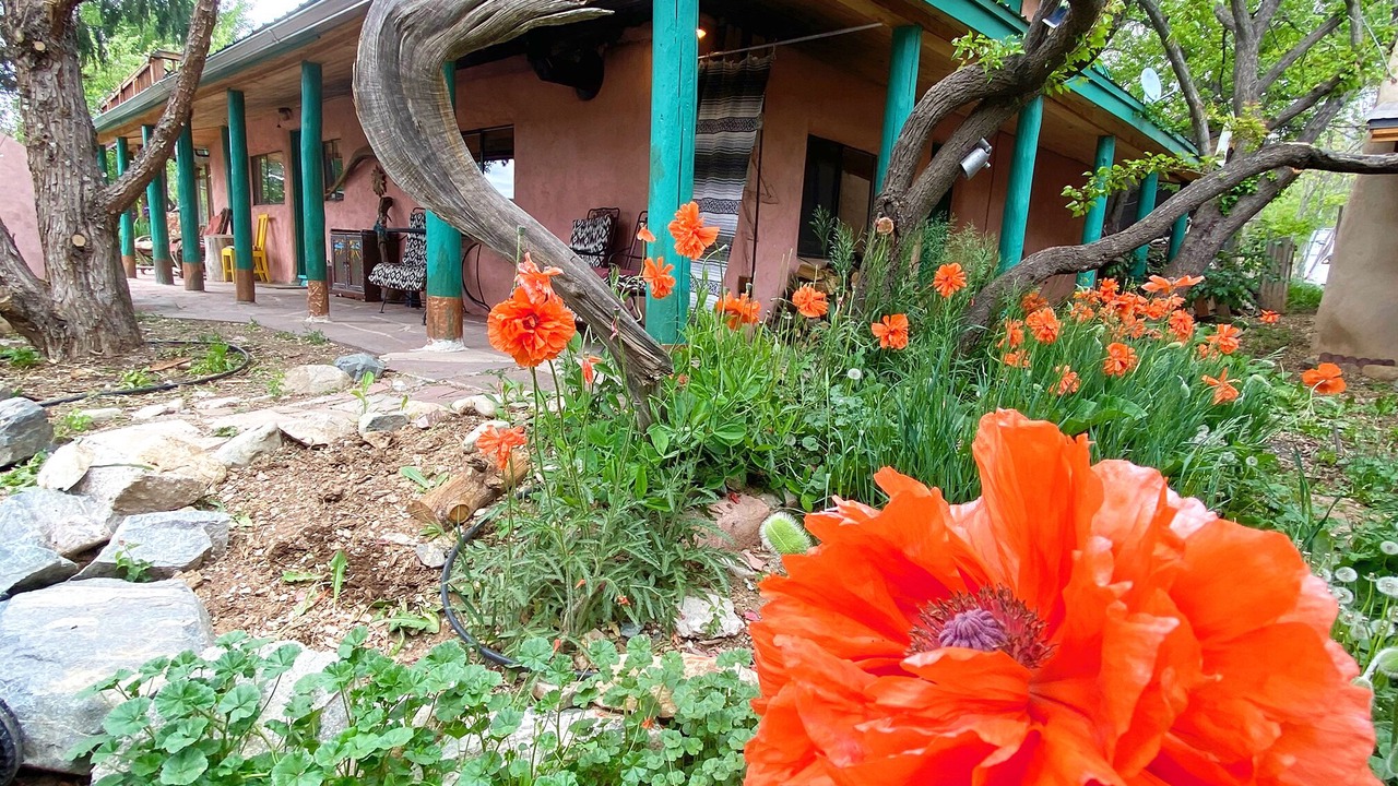 Photo of Outdoor in Arroyo Seco