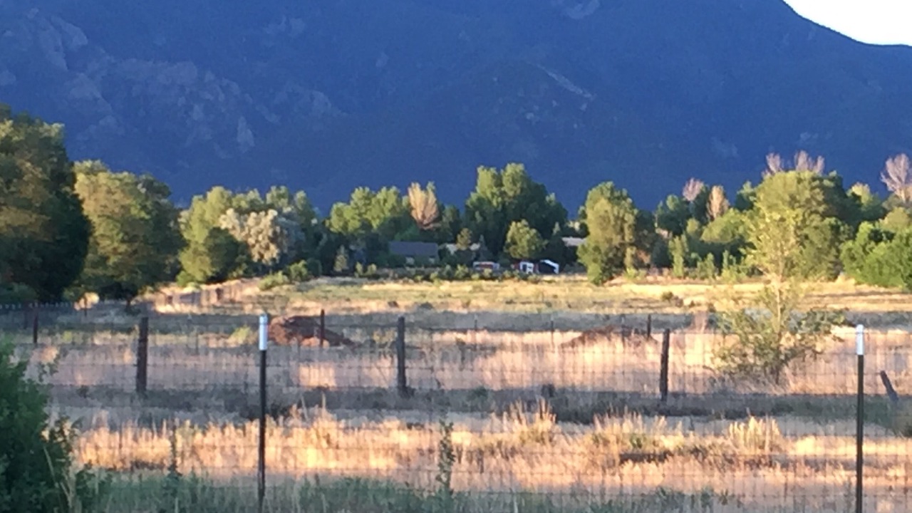 Photo of Others in Taos