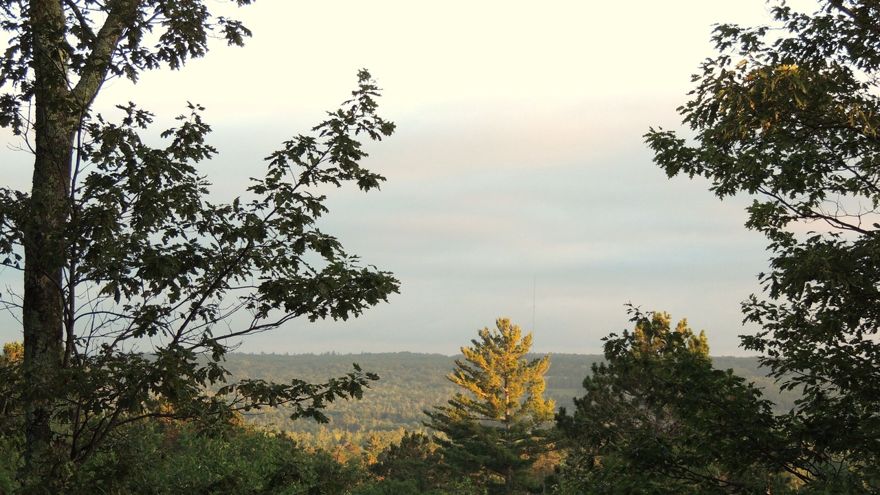 Photo of Outdoor in Washburn