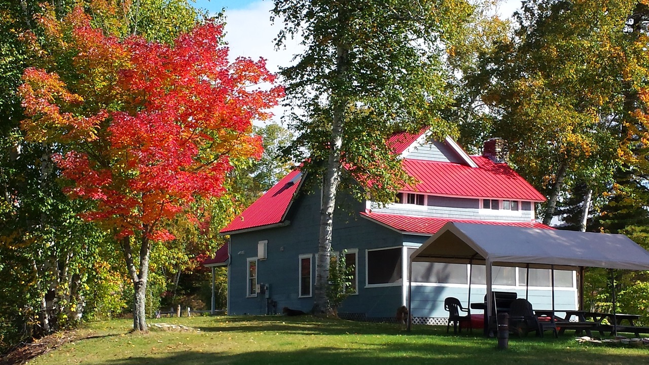 Photo of Outdoor in Eden