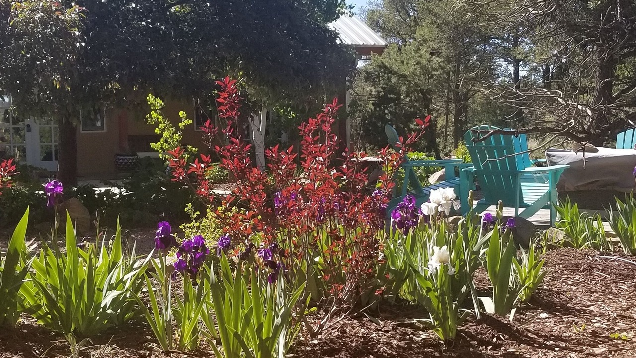 Photo of Outdoor in Canoncito