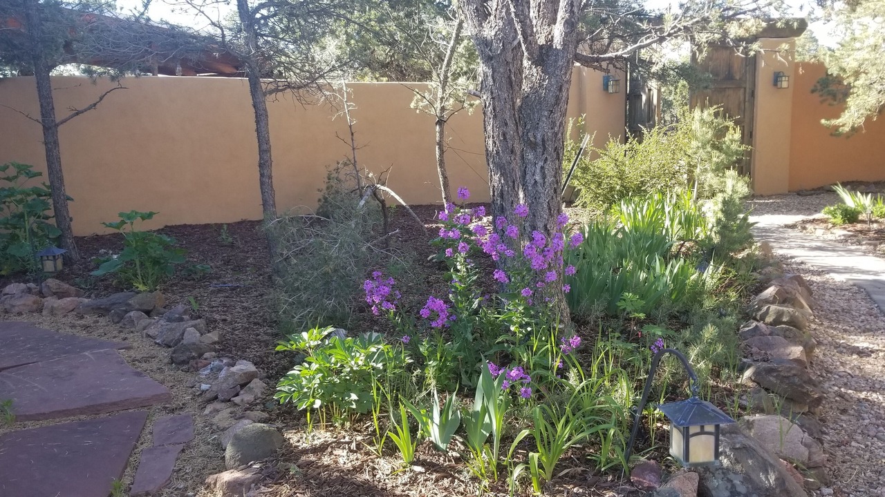 Photo of Outdoor in Canoncito