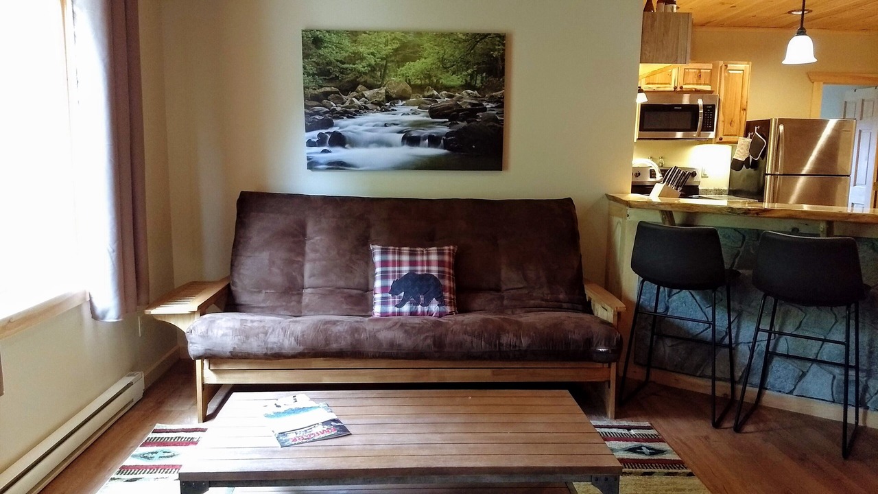 Photo of Livingroom in Lake Placid