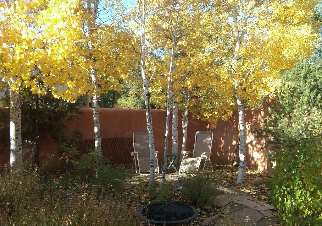 Photo of Outdoor in Taos