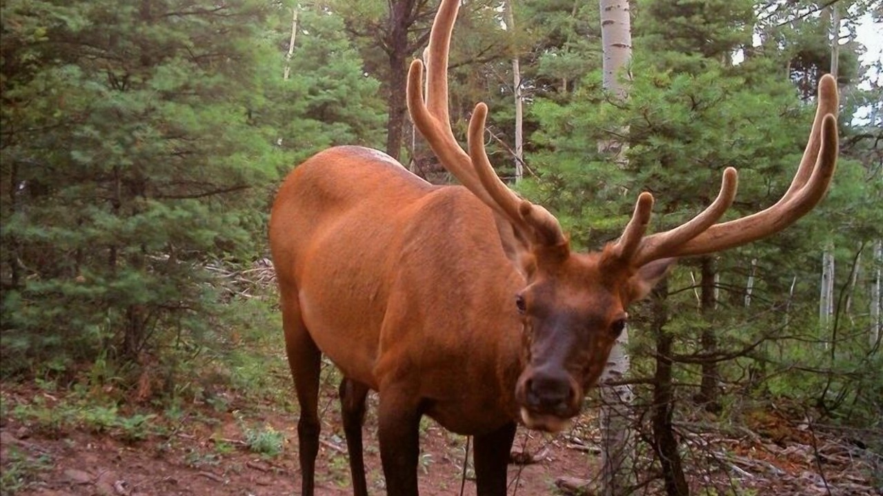Photo of Others in Taos