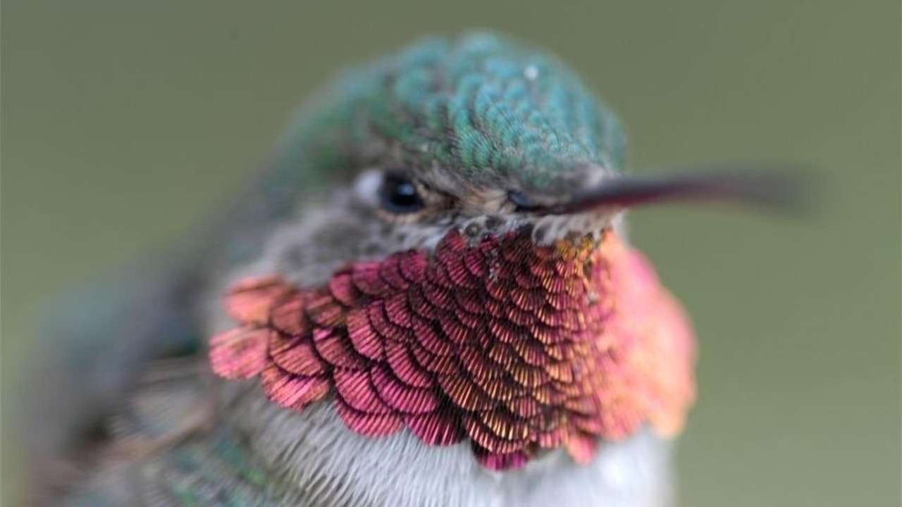 Photo of Others in Taos