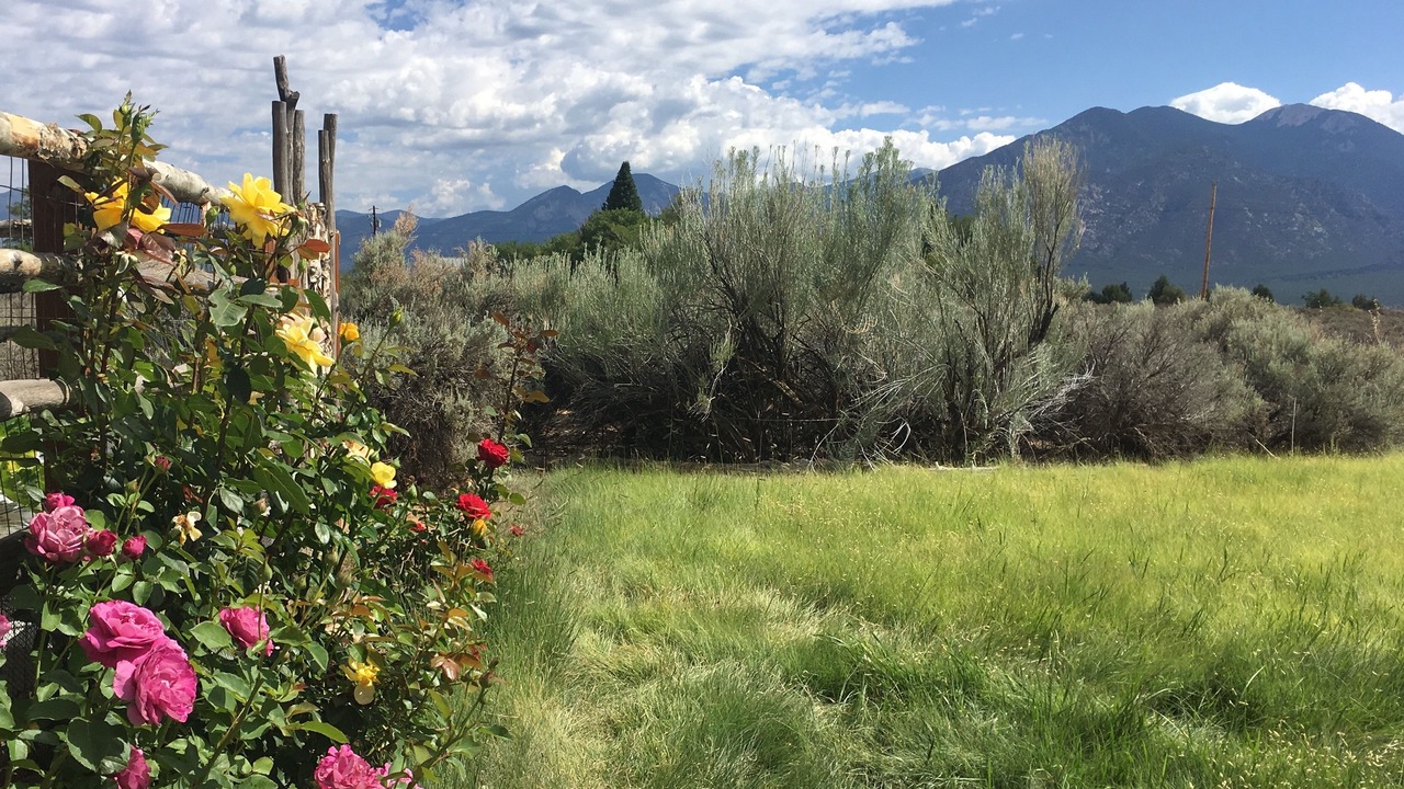 Photo of Others in Taos