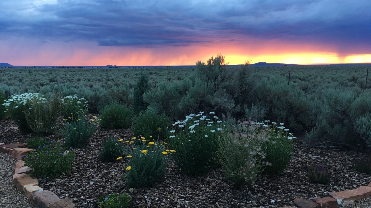 Photo of Others in Taos