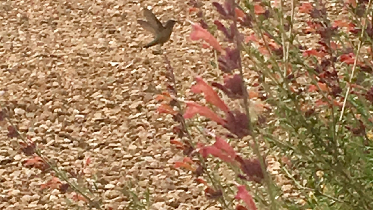 Photo of Others in Taos