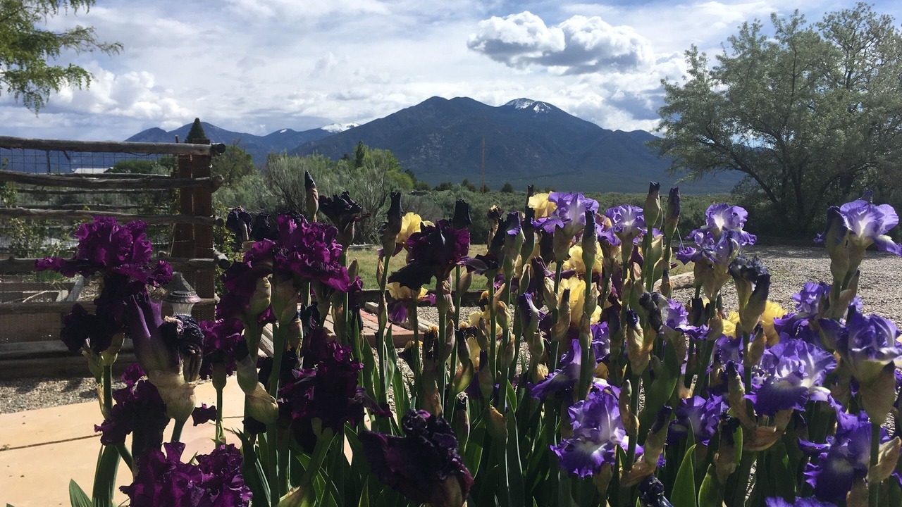 Photo of Outdoor in Taos