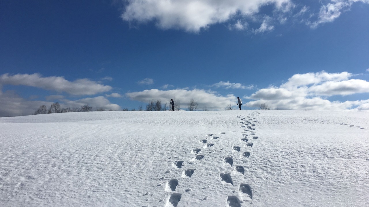 Photo of Outdoor in South Royalton