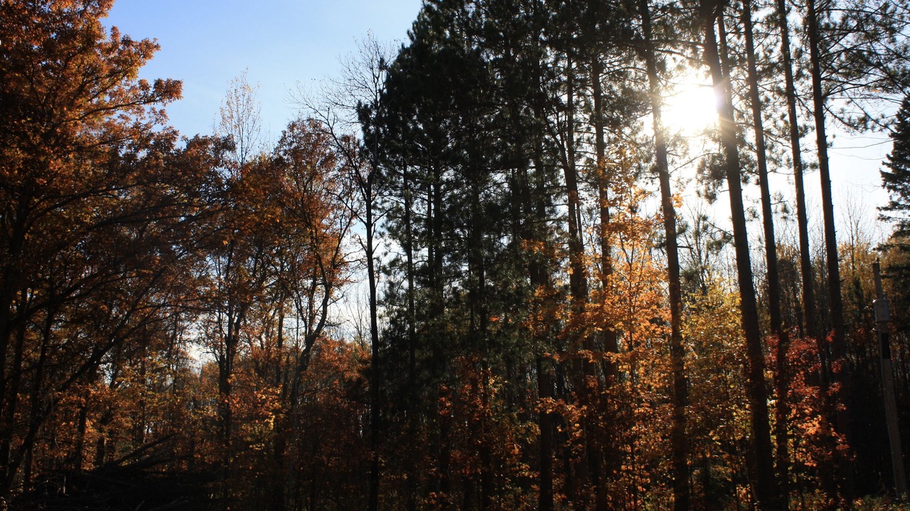 Photo of Outdoor in Trego