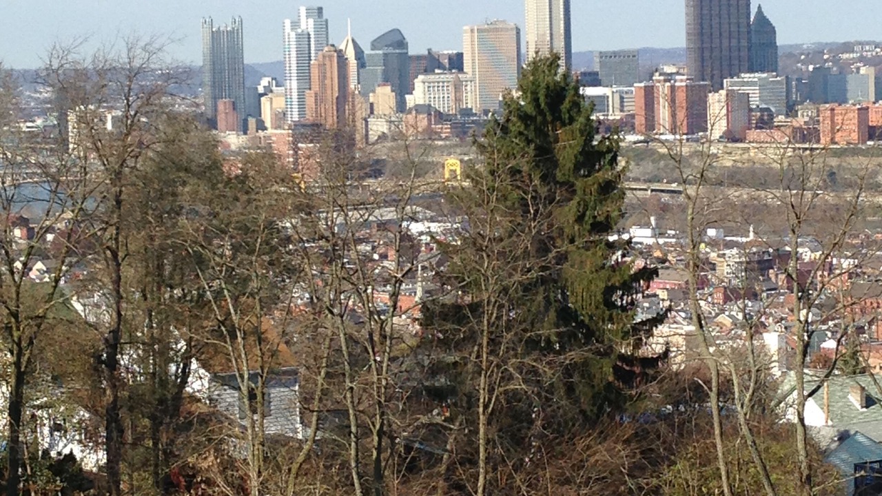Photo of Others in South Side Slopes