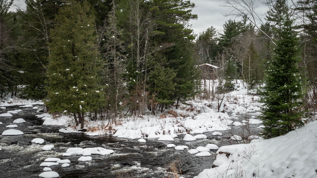 Photo of Others in North Creek