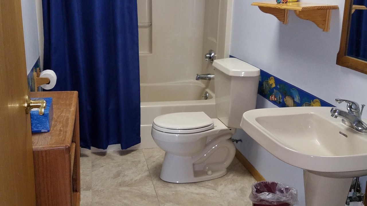Photo of Bathroom in Eagle River